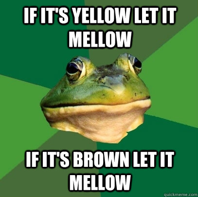 If it's yellow let it mellow if it's brown let it mellow - If it's yellow let it mellow if it's brown let it mellow  Foul Bachelor Frog