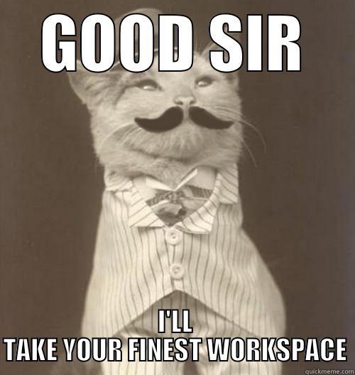 GOOD SIR I'LL TAKE YOUR FINEST WORKSPACE Original Business Cat