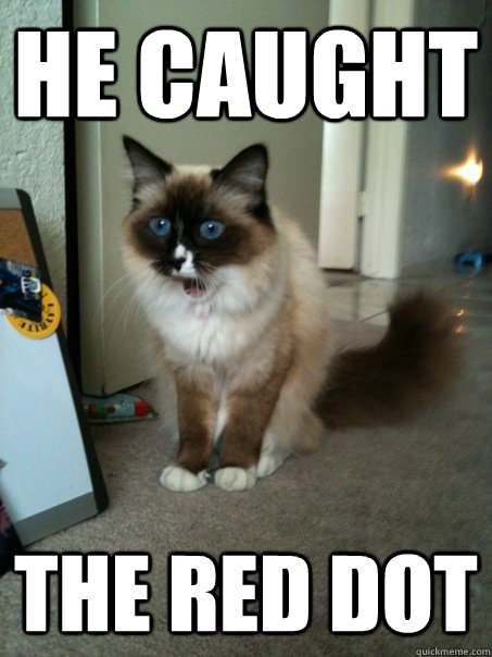 he caught the red dot  