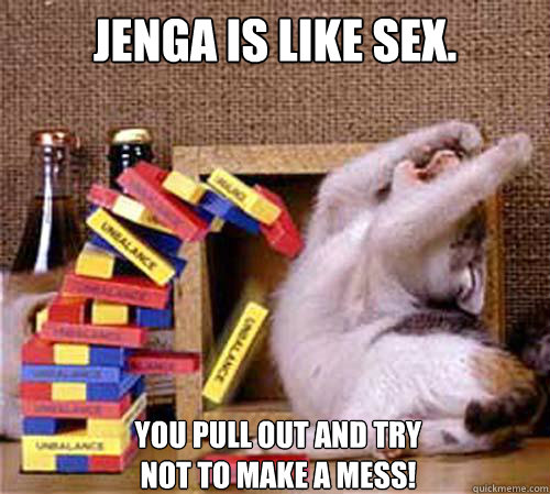 Jenga Is Like Sex You Pull Out And Try Not To Make A Mess Jenga Cat Quickmeme