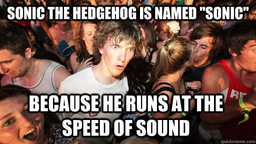 Sonic the Hedgehog is named 