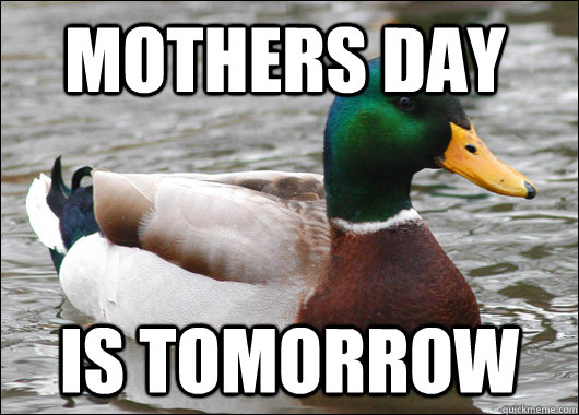 Mothers day is tomorrow - Mothers day is tomorrow  Actual Advice Mallard