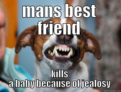 MANS BEST FRIEND KILLS A BABY BECAUSE OF JEALOSY Lazy College Senior