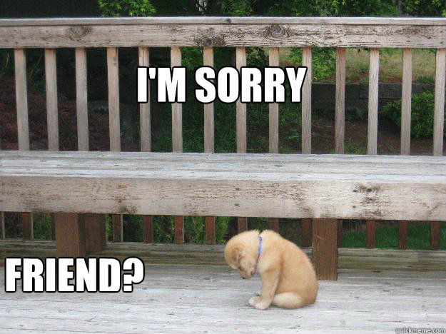 I'm sorry  Friend? - I'm sorry  Friend?  Sorry