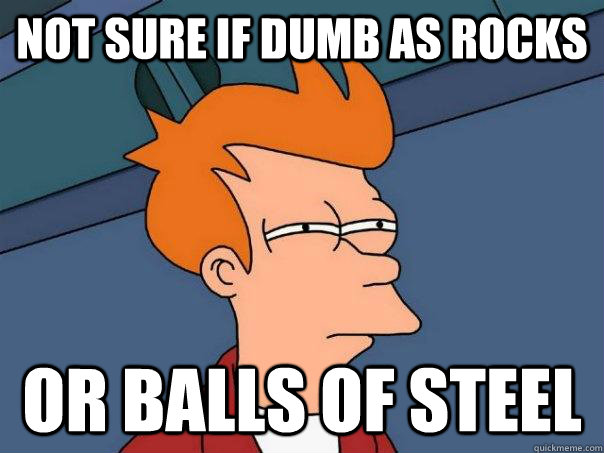 Not sure if dumb as rocks Or balls of steel  Futurama Fry