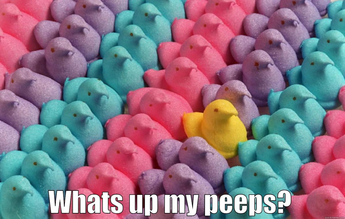 WHATS UP MY PEEPS? Misc