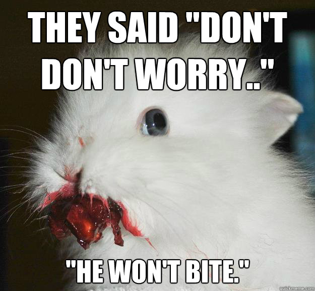 They said 