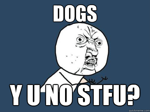 dogs y u no stfu?  Y U No
