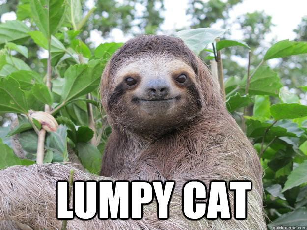  LUMPY CAT  Stoned Sloth