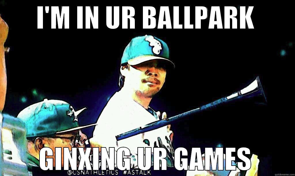 I'M IN UR BALLPARK GINXING UR GAMES Misc