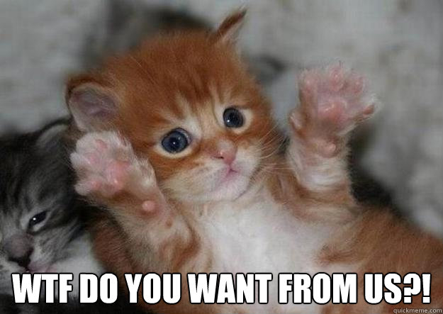  Wtf do you want from us?!  