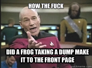 how the fuck did a frog taking a dump make it to the front page  Annoyed Picard