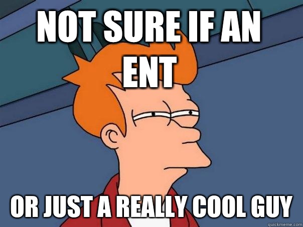 Not sure if an ent or just a really cool guy  Futurama Fry