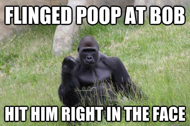 FLINGED POOP AT BOB HIT HIM RIGHT IN THE FACE - FLINGED POOP AT BOB HIT HIM RIGHT IN THE FACE  Success Gorilla