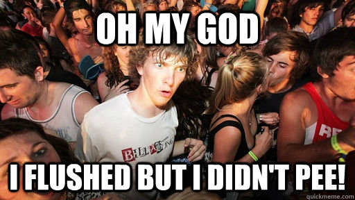 Oh my god i flushed but i didn't pee!  Sudden Clarity Clarence