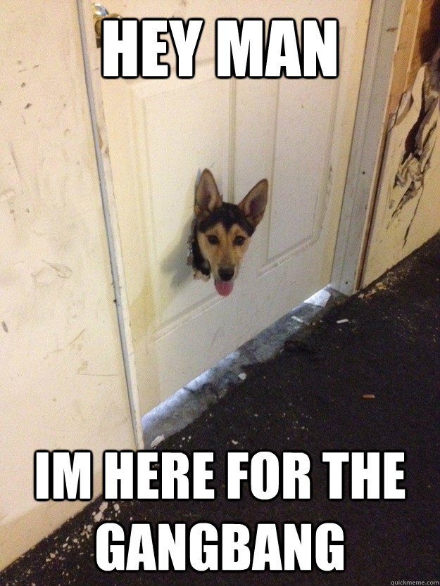 HEY MAN IM HERE FOR THE GANGBANG  Door Dog