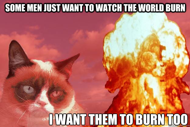 some men just want to watch the world burn I want them to burn too  Evil Grumpy Cat