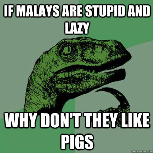 If malays are stupid and lazy Why don't they like pigs  Philosoraptor