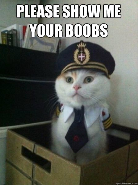 please show me your boobs   Captain kitteh