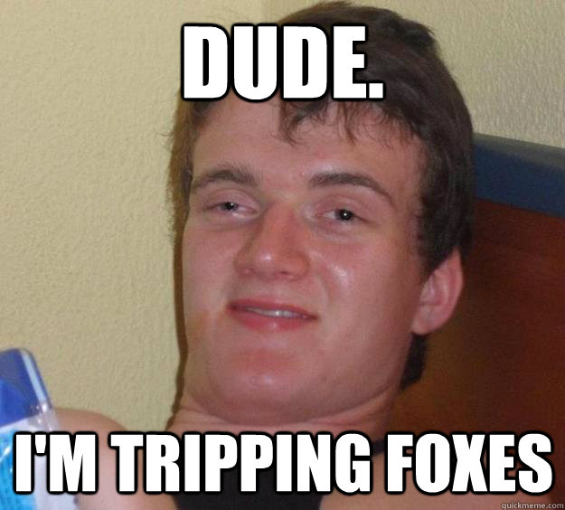 dude. I'm tripping foxes  - dude. I'm tripping foxes   Misc