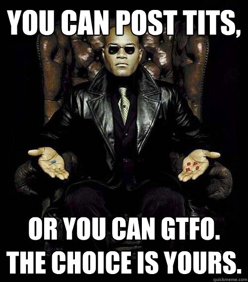 You can post tits, or you can gtfo. the choice is yours.  Morpheus