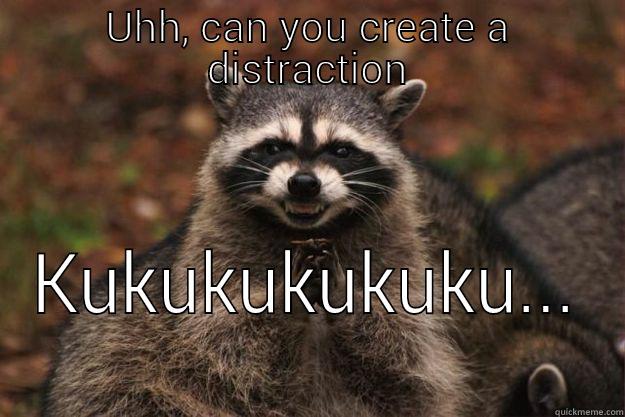 UHH, CAN YOU CREATE A DISTRACTION KUKUKUKUKUKU... Evil Plotting Raccoon