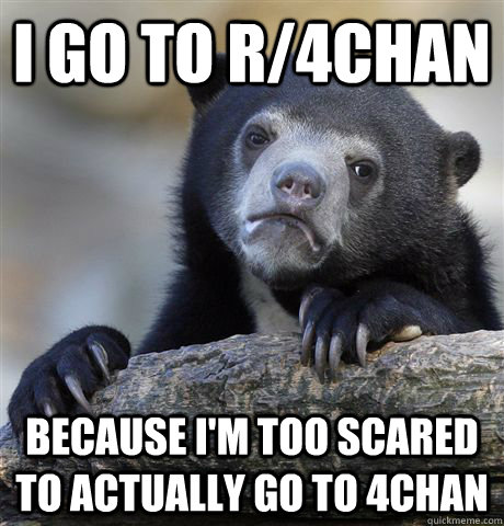 I go to r/4chan because i'm too scared to actually go to 4chan - I go to r/4chan because i'm too scared to actually go to 4chan  Confession Bear