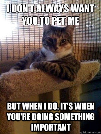 I don't always want you to pet me but when i do, it's when you're doing something important  The Most Interesting Cat in the World
