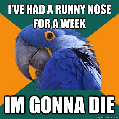 i've had a runny nose for a week Im gonna die  Paranoid Parrot