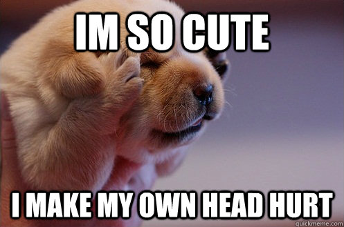 Im so cute i make my own head hurt - Im so cute i make my own head hurt  Headache Puppy