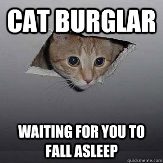 Cat burglar waiting for you to fall asleep  