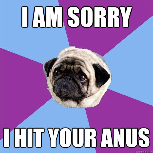 I am Sorry I Hit your Anus  Lonely Pug