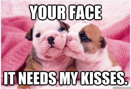 Your face it needs my kisses. - Your face it needs my kisses.  puppies