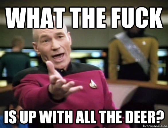 What the fuck is up with all the deer?  Annoyed Picard HD