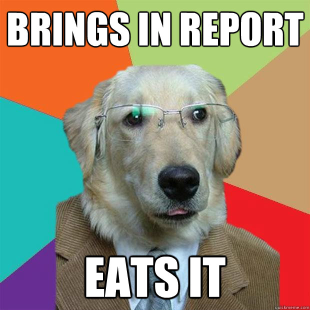 Brings in Report Eats it  Business Dog