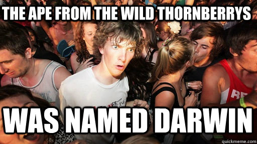 the ape from The Wild Thornberrys was named darwin  Sudden Clarity Clarence Neopet