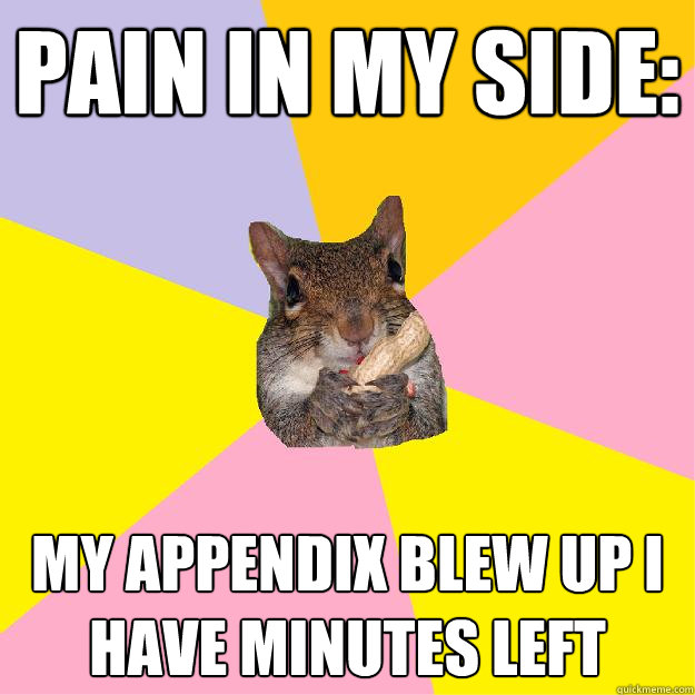 pain in my side: my appendix blew up i have minutes left - pain in my side: my appendix blew up i have minutes left  Hypochondriac Squirrel