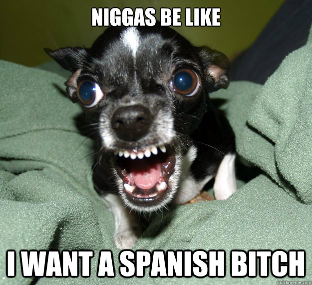 Niggas be like I want a spanish bitch  Chihuahua Logic
