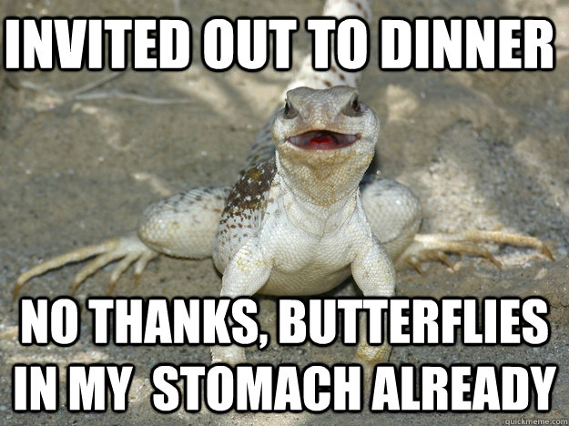 Invited out to dinner No thanks, butterflies in my  stomach already - Invited out to dinner No thanks, butterflies in my  stomach already  Misc