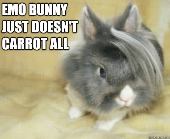 emo bunny just doesn't carrot all  
