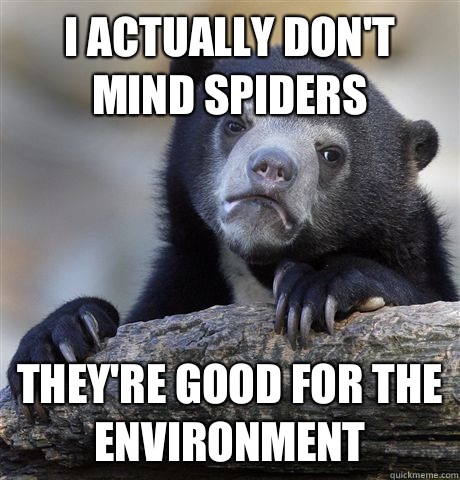 I actually don't mind spiders They're good for the environment  Confession Bear
