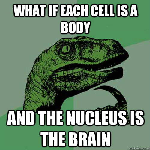 what if each cell is a body and the nucleus is the brain - what if each cell is a body and the nucleus is the brain  Philosoraptor