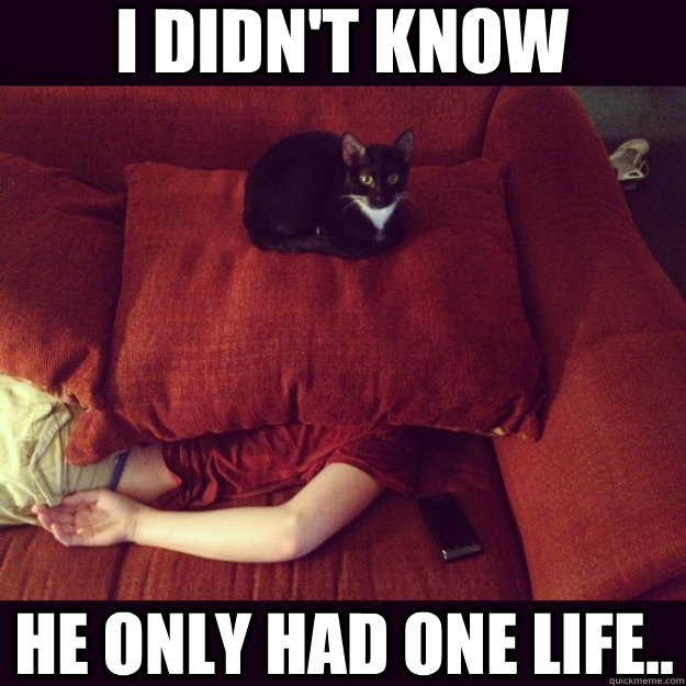i DIDN'T KNOW  HE ONLY HAD ONE LIFE.. - i DIDN'T KNOW  HE ONLY HAD ONE LIFE..  jealous cat
