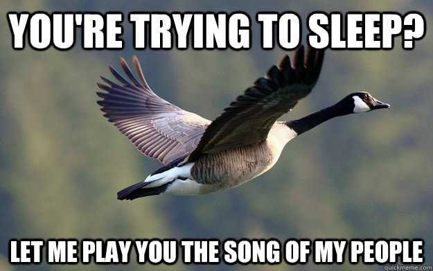 You're trying to sleep? Let me play you the song of my people - You're trying to sleep? Let me play you the song of my people  Scumbag Goose