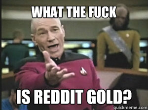 What the fuck is reddit gold?  