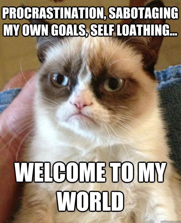 PROCRASTINATION, SABOTAGING MY OWN GOALS, SELF LOATHING... WELCOME TO MY WORLD  Grumpy Cat