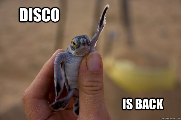 DISCO IS BACK - DISCO IS BACK  Disco Turtle