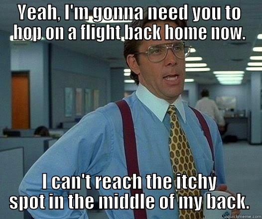 YEAH, I'M GONNA NEED YOU TO HOP ON A FLIGHT BACK HOME NOW. I CAN'T REACH THE ITCHY SPOT IN THE MIDDLE OF MY BACK. Office Space Lumbergh