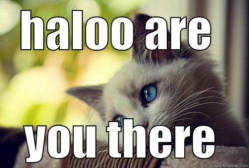 HALOO ARE  YOU THERE First World Problems Cat