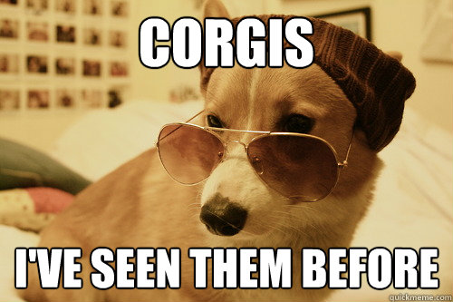 Corgis I've Seen Them Before - Corgis I've Seen Them Before  Hipster corgi